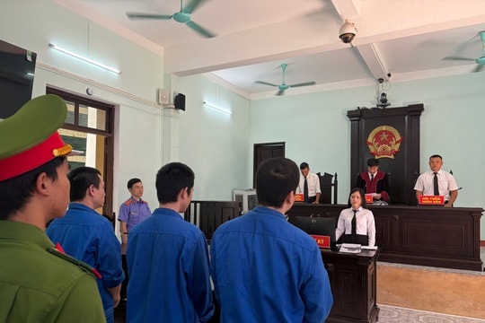 Bản tin Podcast Pháp đình ngày 30/3/2026