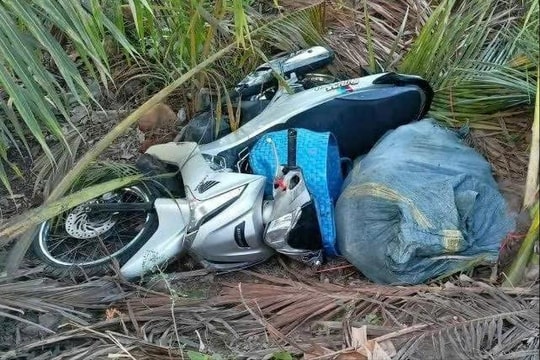 Siết chặt tuần tra, xử lý tình trạng dùng súng điện trộm chó