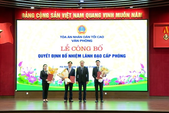 Tòa án nhân dân tối cao kiện toàn đội ngũ lãnh đạo cấp phòng