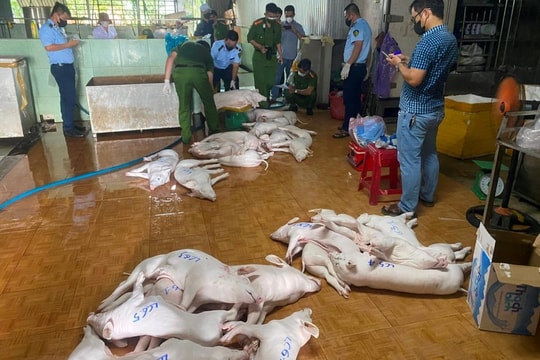 Xử lý nghiêm giết mổ lợn bệnh, Thủ tướng yêu cầu truy trách nhiệm người đứng đầu
