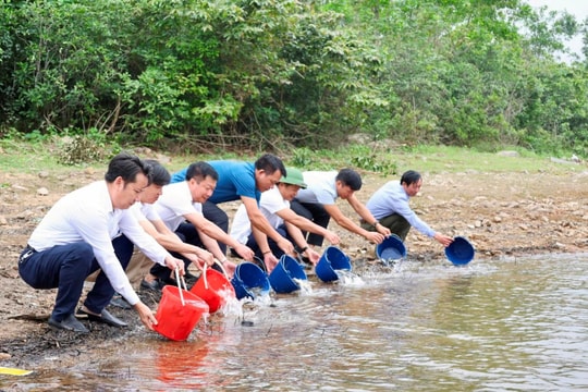Thả hơn 4 vạn cá giống tái tạo nguồn lợi thủy sản