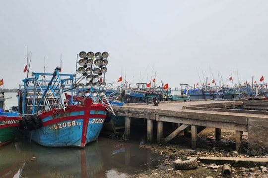 Ngư dân Thanh Hóa chật vật vì chi phí tăng cao
