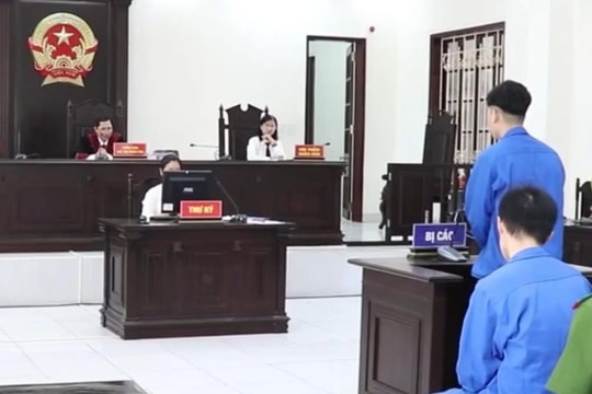 Phận người lạc lối sau những phi vụ "săn" lợn, trộm gà