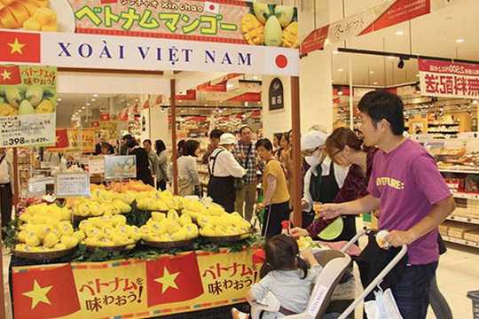 Kiều bào sẽ là mắt xích cung ứng hàng Việt ở nước ngoài