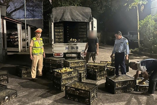 Phát hiện xe tải chở hơn 13.500 con gia cầm giống “trôi nổi”