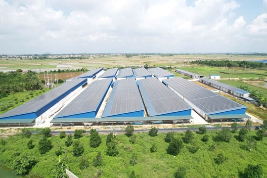 Tiết kiệm điện mùa nắng nóng, từ thói quen sinh hoạt đến giải pháp đồng bộ