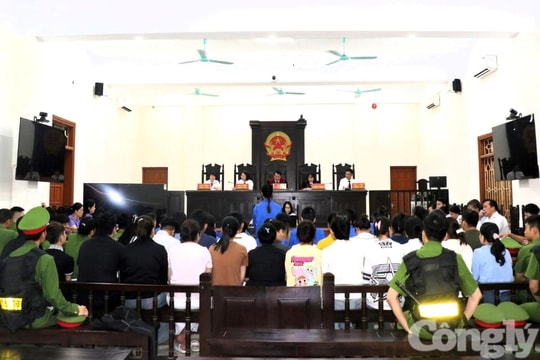 Xét xử 45 bị cáo trong vụ án lừa bán thực phẩm chức năng