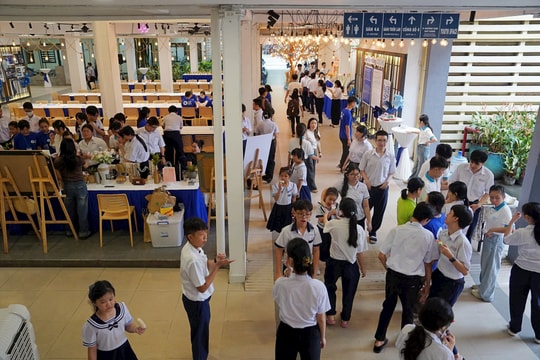 TP.HCM thông tin về tuyển sinh đầu cấp