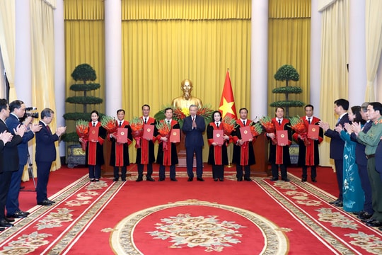 Tổng Bí thư, Chủ tịch nước Tô Lâm trao quyết định bổ nhiệm Thẩm phán TANDTC, Phó Chánh án TANDTC