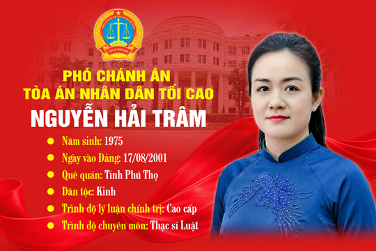 Chân dung tân Phó Chánh án Tòa án nhân dân tối cao Nguyễn Hải Trâm
