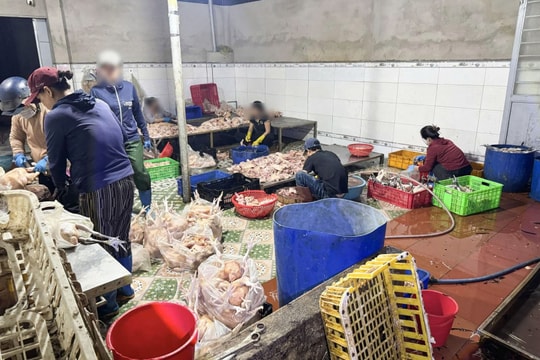 Khánh Hòa: 64 cơ sở vi phạm an toàn thực phẩm
