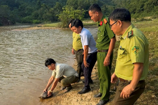 Nhiều cá thể động vật quý hiếm được người dân giao nộp, thả về tự nhiên