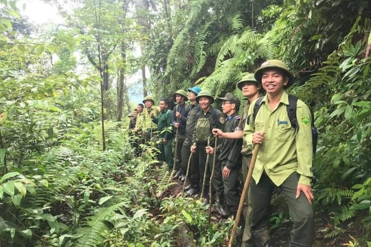 Nghệ An nâng cấp cảnh báo cháy rừng lên cấp nguy hiểm