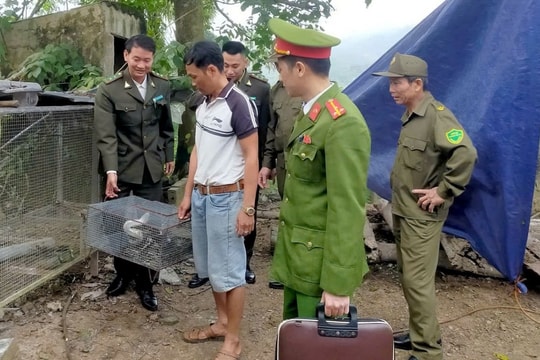 Vận động người dân giao nộp động vật hoang dã