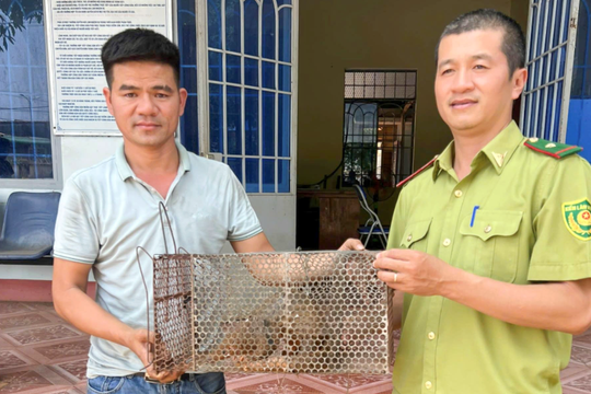 Tài xế tự nguyện giao nộp cá thể tê tê quý hiếm cho kiểm lâm
