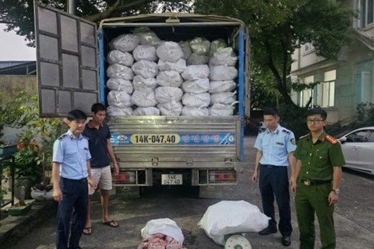 Thu giữ hơn 12 tấn chân lợn đông lạnh không rõ nguồn gốc tại Quảng Ninh