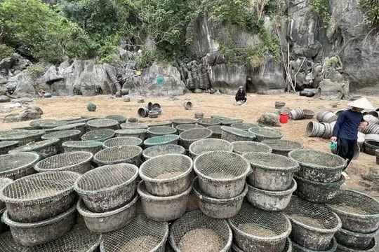 Xử lý 2 vụ nuôi thủy sản trái phép trên Vịnh Hạ Long