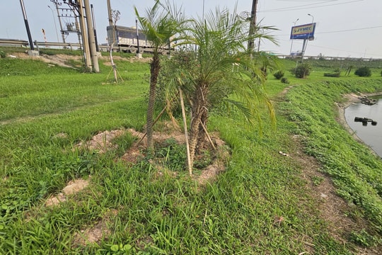 Bắc Ninh: Chủ đầu tư khẩn trương khắc phục các tồn tại tại dự án trang trí nút giao gần 10 tỷ đồng