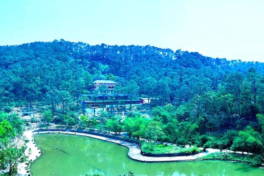 Giữa rừng vọng tiếng chuông ngân