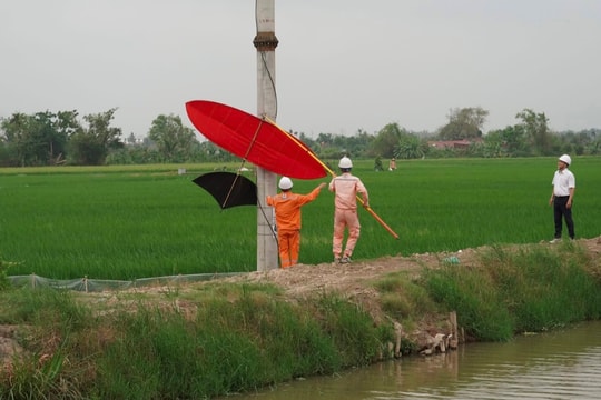 Hải Phòng: Phát hiện gần 100 vụ thả diều, vật bay ảnh hưởng đến lưới điện
