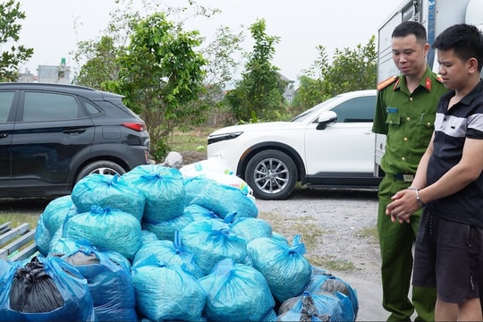 Phát hiện xưởng giá đỗ dùng chất cấm ở Quảng Ninh