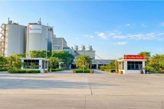 Xi măng Long Sơn tạo niềm tin vững chắc