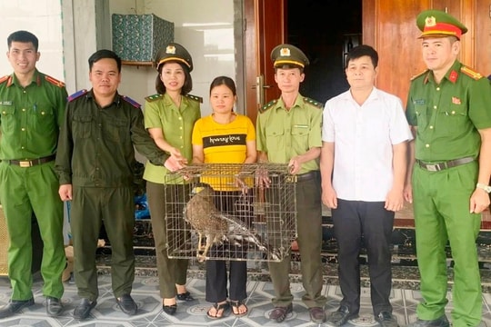 Người dân giao nộp 2 cá thể động vật quý hiếm