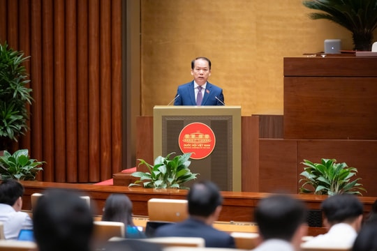 Thí điểm chế định luật sư công: Tăng cường bảo vệ lợi ích Nhà nước trong giai đoạn mới
