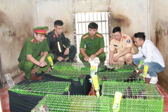 Bắt giữ đối tượng vận chuyển động vật quý hiếm qua Nghệ An