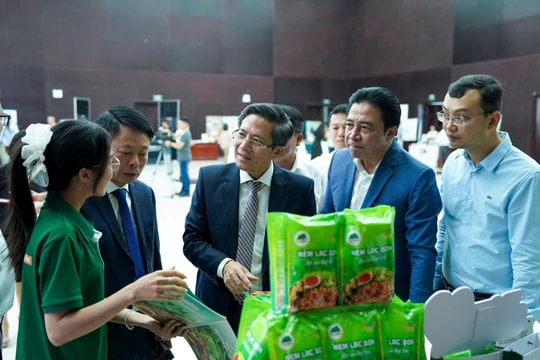 Đà Nẵng thúc đẩy chuyển đổi xanh, hướng tới đô thị sinh thái - thông minh