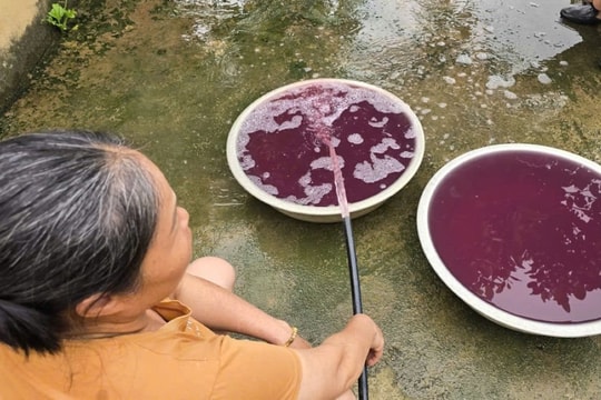 Vụ nước giếng khoan đổi màu tím, bốc mùi: Tạm dừng hoạt động một nhà máy