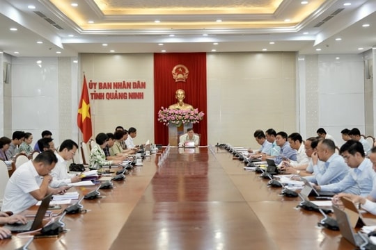 Quảng Ninh yêu cầu nâng cao trách nhiệm người đứng đầu trong giải phóng mặt bằng