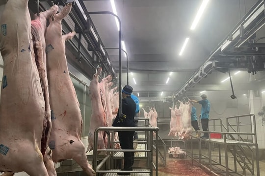 Mỗi xã, phường của Hà Nội thí điểm ít nhất một mô hình đảm bảo an toàn thực phẩm