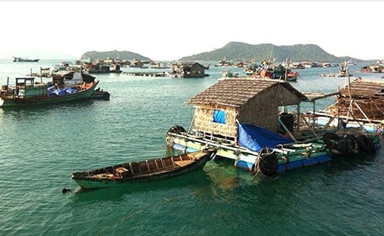 Lan tỏa sức mạnh dòng vốn ưu đãi ở An Giang