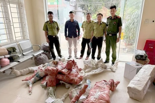 Phát hiện, thu giữ 15 phôi cây Muội hồng không rõ nguồn gốc