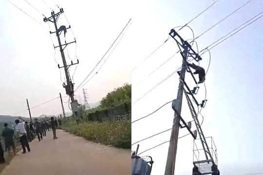 Một thiếu niên tử vong trên cột điện khi đi bắt chim