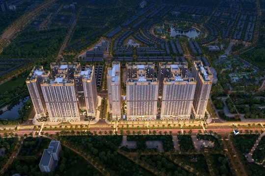 The Flame Vine: Lợi thế kép cận metro và chuẩn sống cân bằng