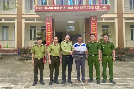 Người dân giao nộp tê tê đi lạc trong vườn nhà