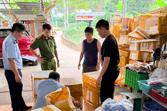 Thu giữ gần 300kg chả mực nhập lậu, mực khô “trôi nổi”