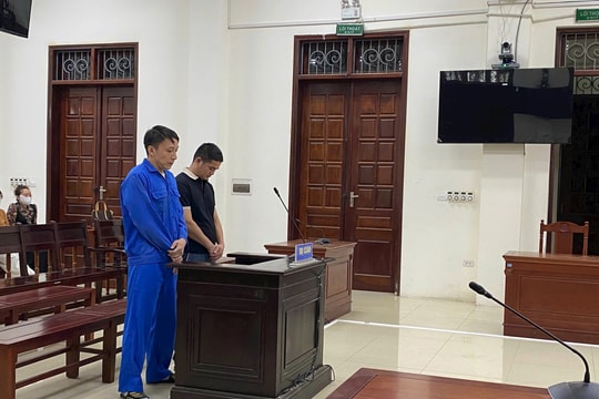 Lĩnh án 16 năm tù vì buôn bán gần 1 tấn vảy tê tê Châu Phi