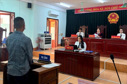 Uống rượu, không bằng lái gây tai nạn chết người