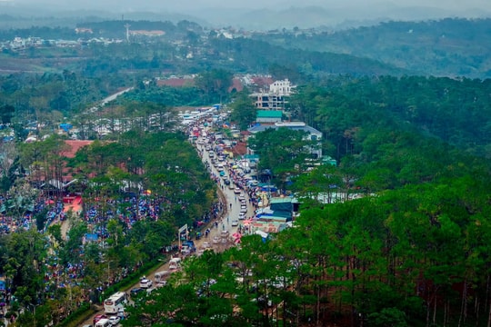 Chuyển hơn 80ha rừng trồng sản xuất ở Măng Đen làm khu đô thị