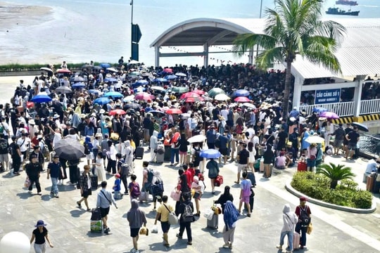 Quảng Ninh: 132 chuyến tàu đưa hàng vạn du khách ra đảo