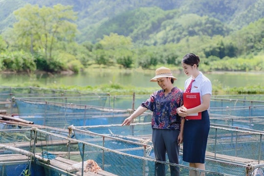 Agribank hướng dòng tiền vào các lĩnh vực trọng tâm