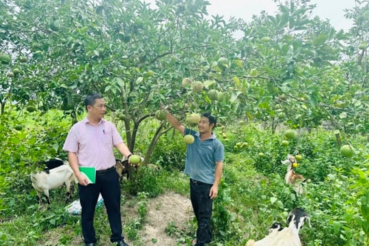 Thanh Hóa phát huy hiệu quả Chỉ thị 39 về tín dụng chính sách xã hội