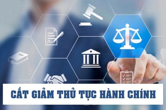 Bãi bỏ 184 thủ tục hành chính , 890 điều kiện kinh doanh