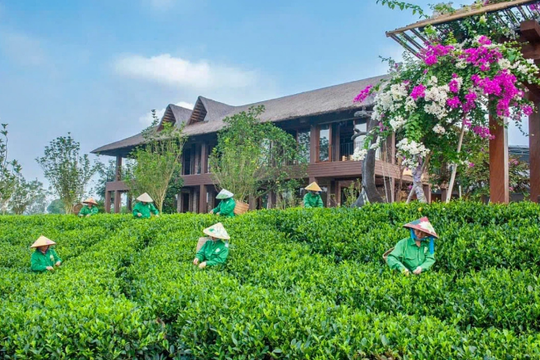 “Hồ trên núi - Trà trong mây”: Hành trình trải nghiệm từ hồ xanh đến đồi chè