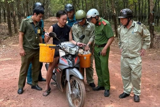 Tăng cường tuần tra, kiểm soát tại các lô cao su, bảo đảm an ninh từ cơ sở