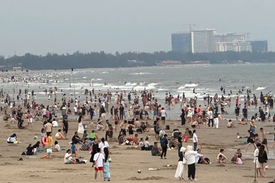 28 trẻ em bị lạc ở biển Vũng Tàu