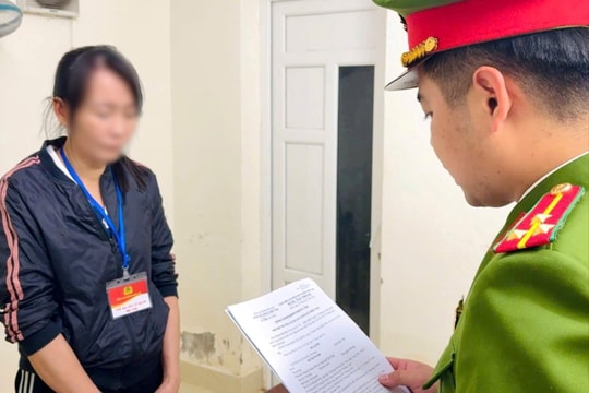 Giấu doanh thu, in hóa đơn “khống”, nữ giám đốc trả giá